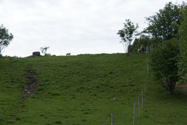 DSC09307