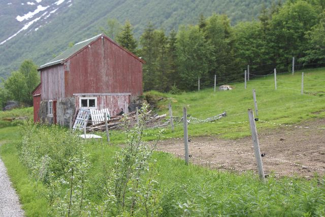 DSC09309