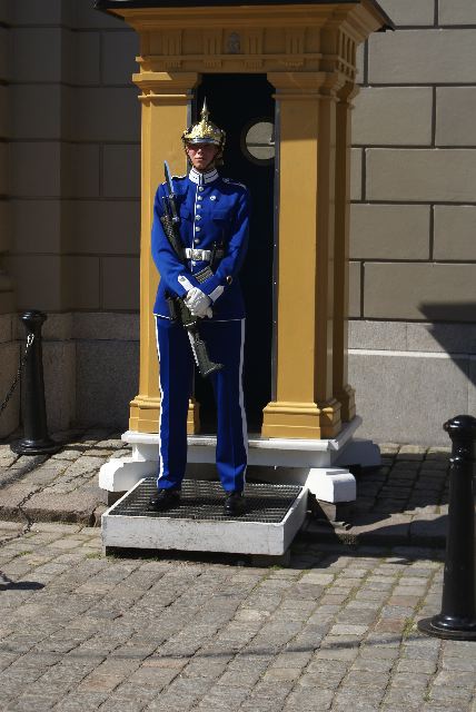 DSC09521